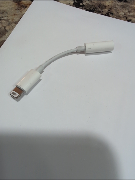 Apple Other - Apple White Lightning to 3.5mm Headphone Adapter